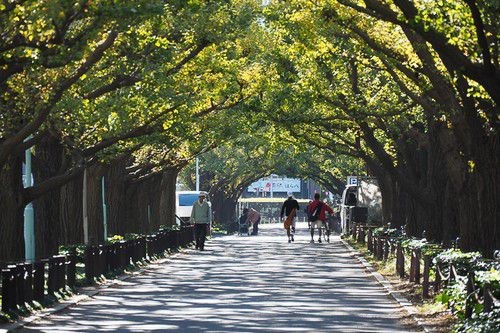 NHỮNG NGUYÊN TẮC CỦA NGƯỜI NHẬT CHÚNG TA NÊN HỌC TẬP