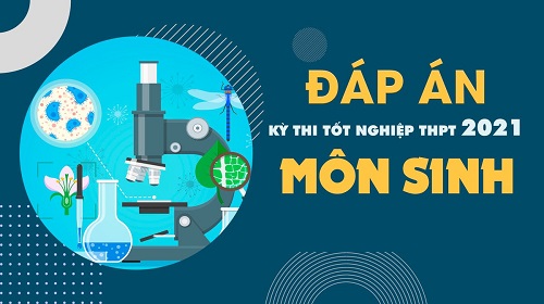 Cập nhật đáp án đề thi Sinh học Kỳ thi Tốt nghiệp THPT 2021