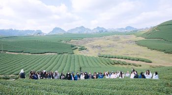 HOẠT ĐỘNG TRẢI NGHIỆM  GIÁO DỤC DI SẢN, HƯỚNG VỀ CỘI NGUỒN