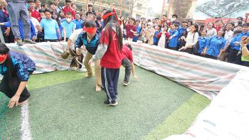 CHÀO XUÂN BÍNH NGỌ 2026  XUÂN GẮN KẾT – TẾT NGHĨA TÌNH